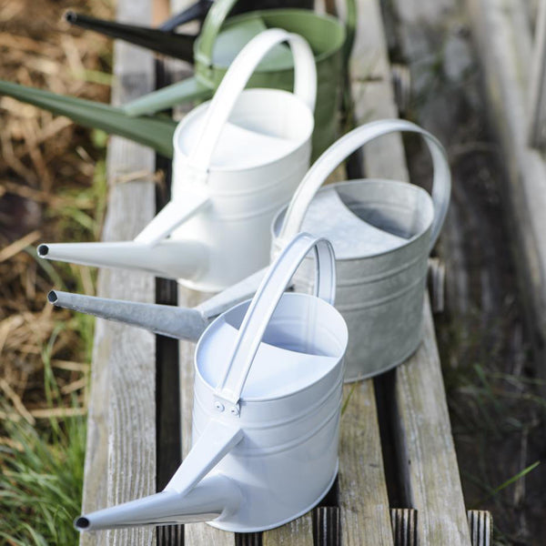 White Watering Can